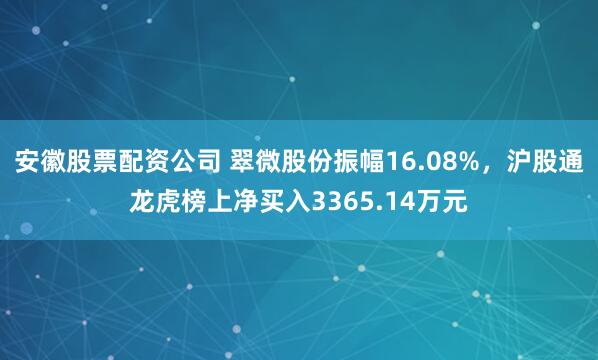 安徽股票配资公司 翠微股份振幅16.08%，沪股通龙虎榜上净买入3365.14万元