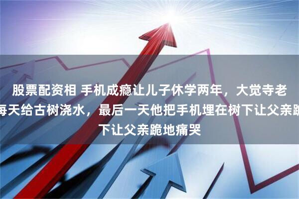 股票配资相 手机成瘾让儿子休学两年，大觉寺老僧让他每天给古树浇水，最后一天他把手机埋在树下让父亲跪地痛哭