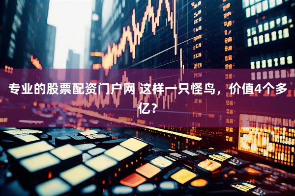 专业的股票配资门户网 这样一只怪鸟，价值4个多亿？