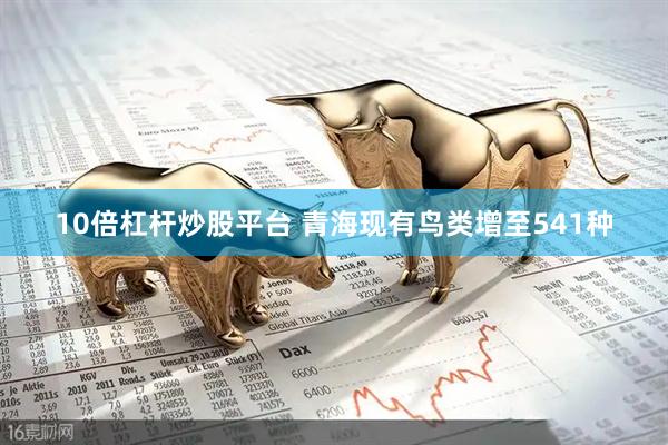 10倍杠杆炒股平台 青海现有鸟类增至541种